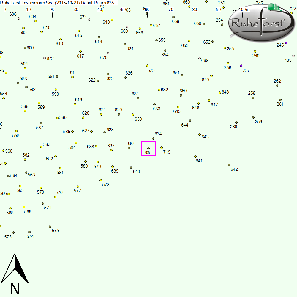 Detailkarte zu Baum 635