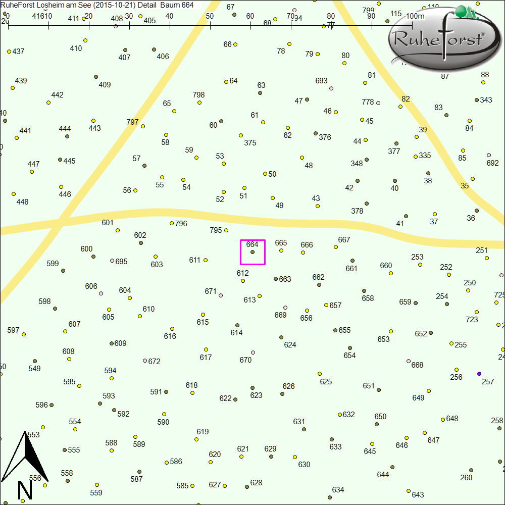 Detailkarte zu Baum 664