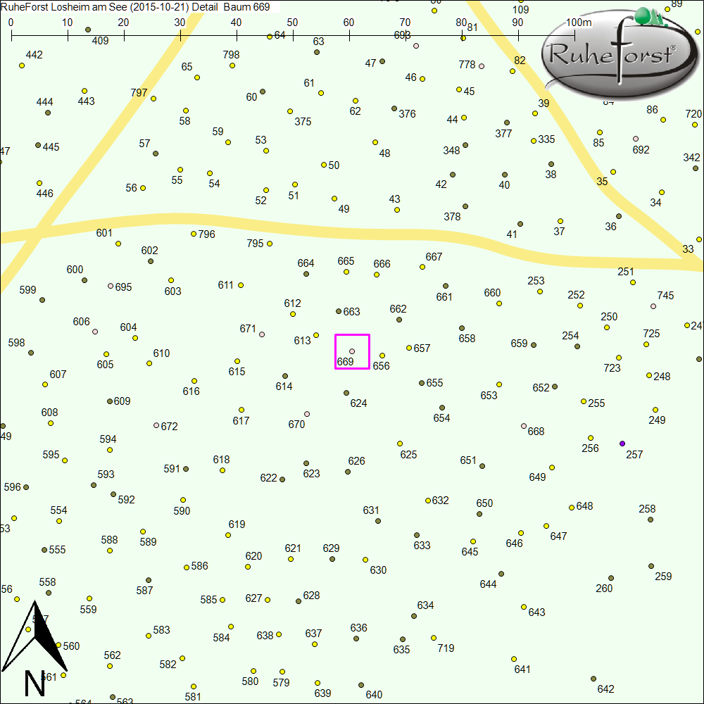 Detailkarte zu Baum 669