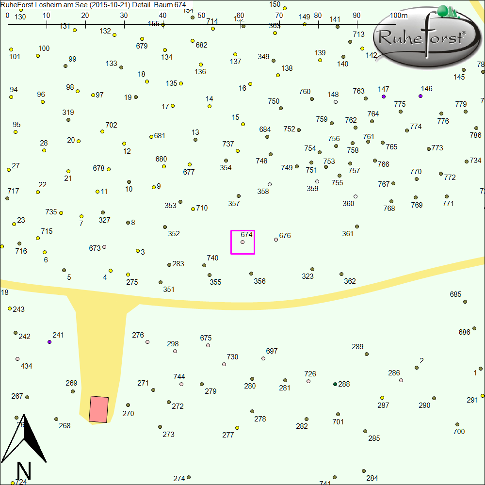 Detailkarte zu Baum 674