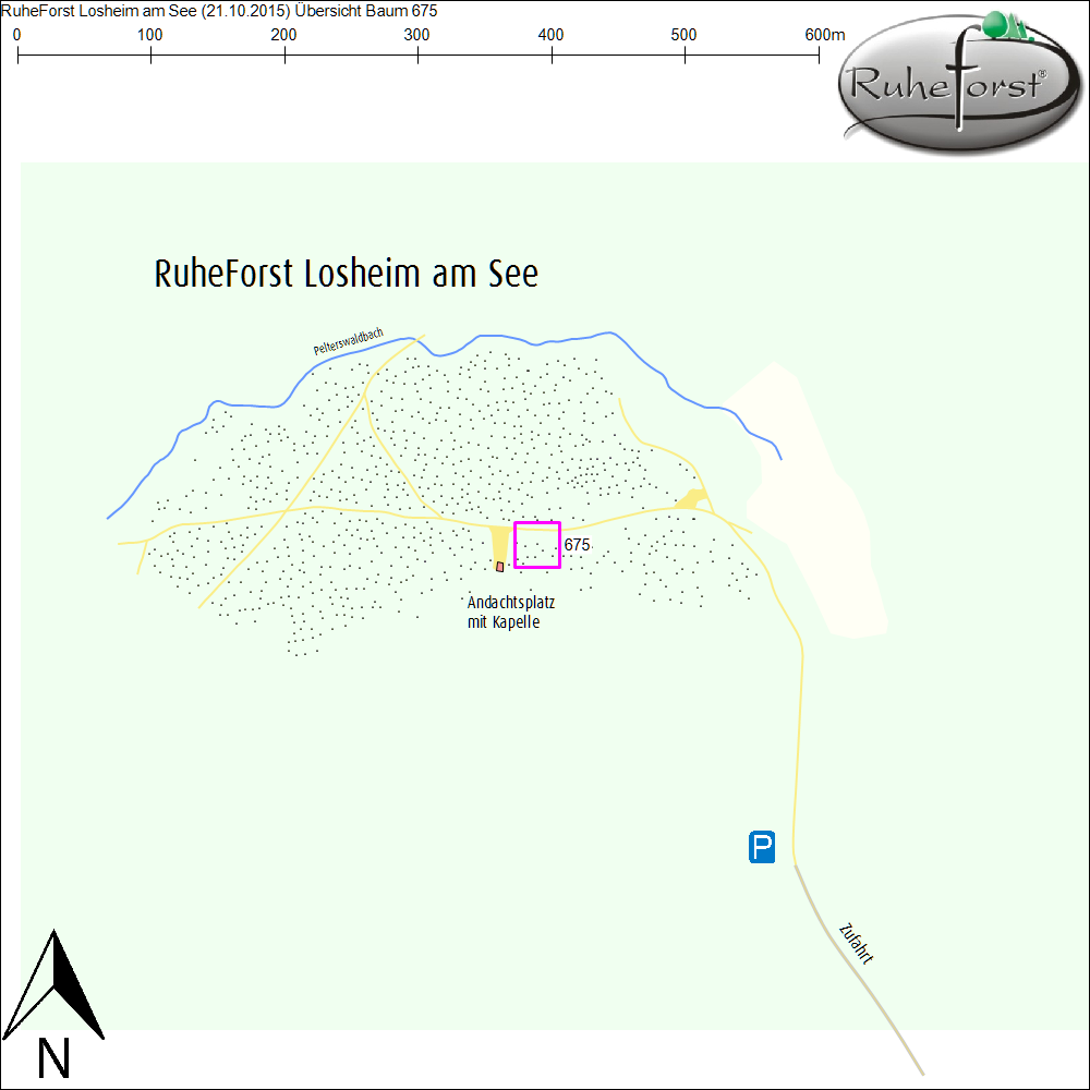 Übersichtskarte zu Baum 675