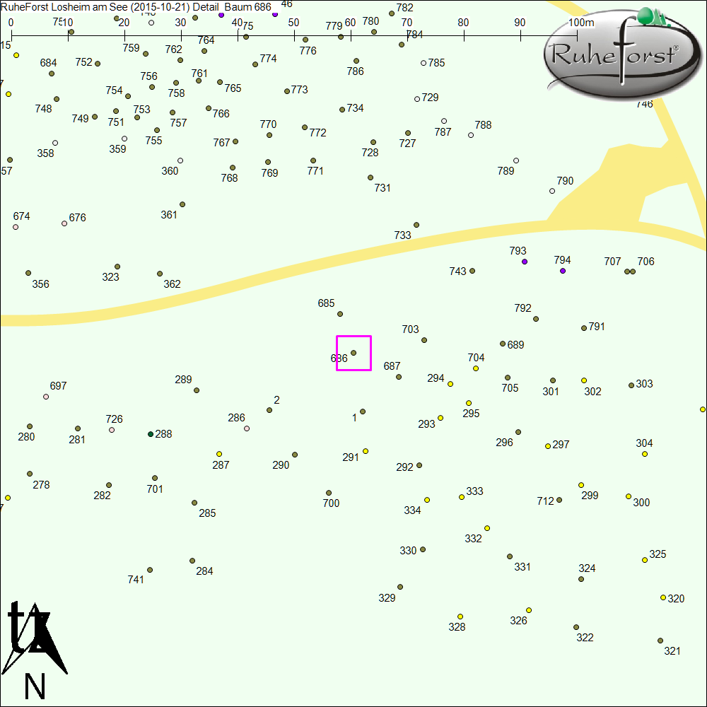 Detailkarte zu Baum 686