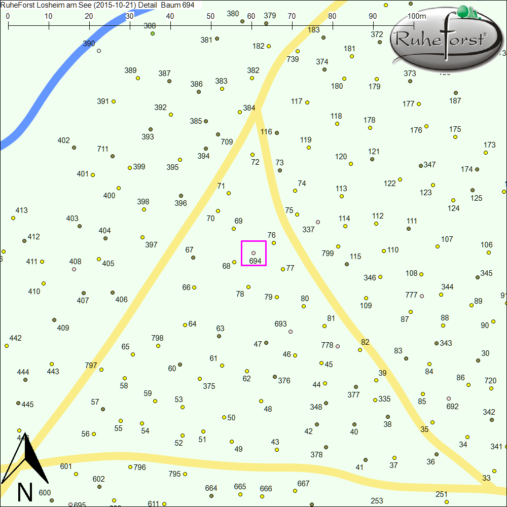Detailkarte zu Baum 694