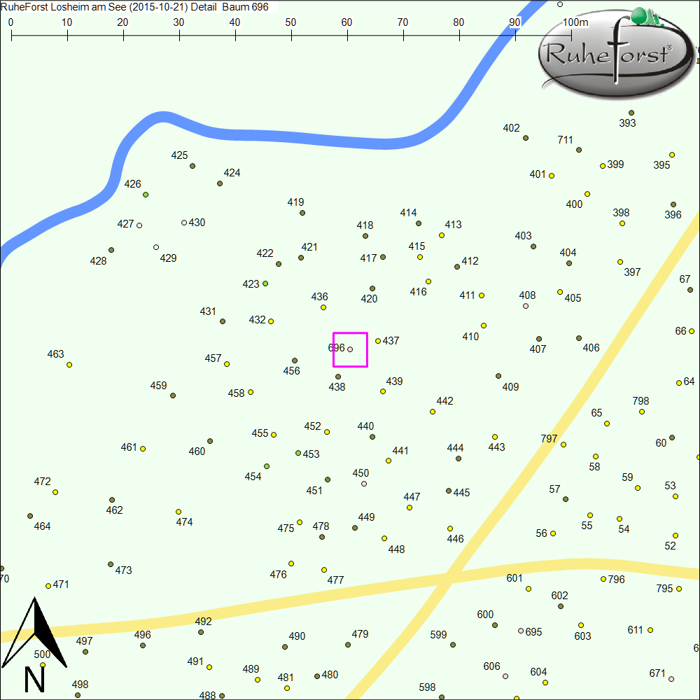 Detailkarte zu Baum 696