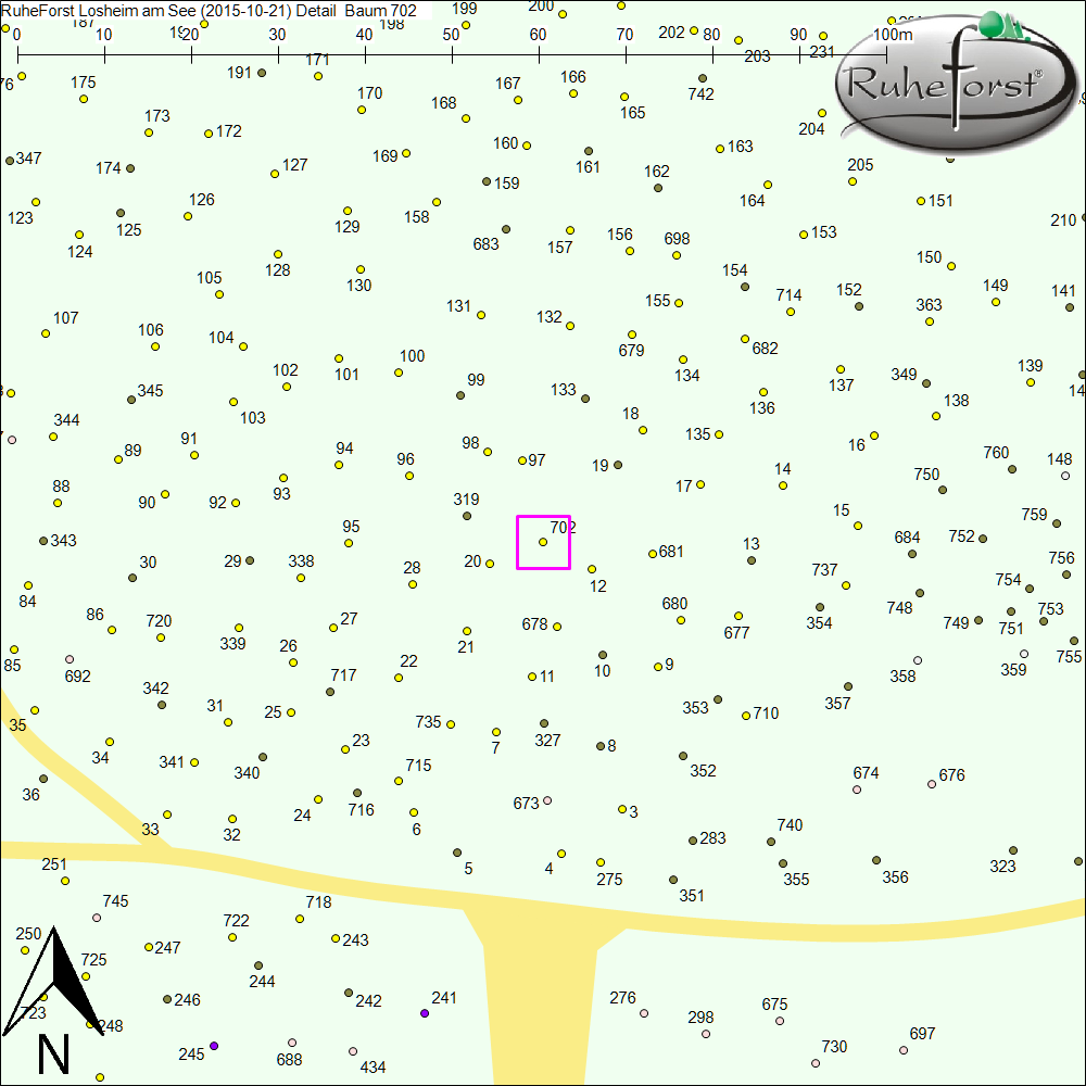 Detailkarte zu Baum 702
