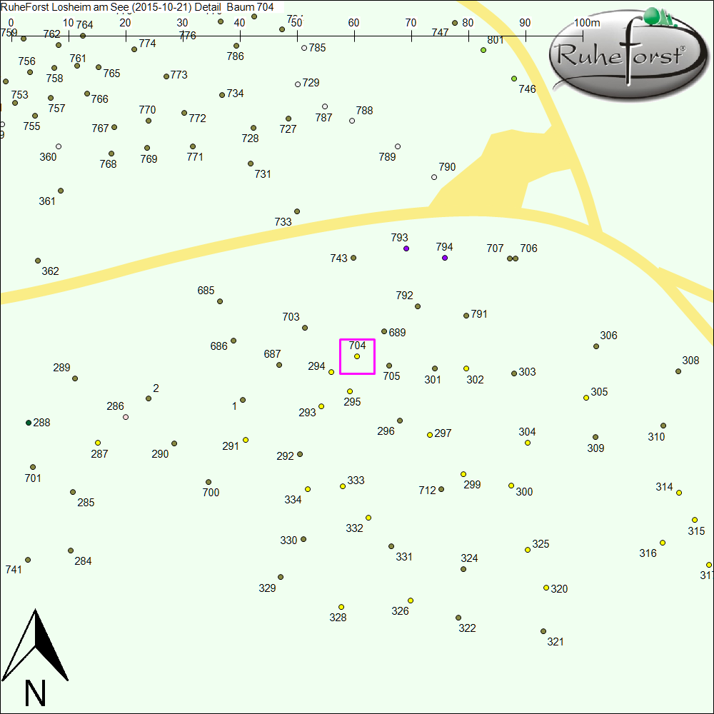 Detailkarte zu Baum 704