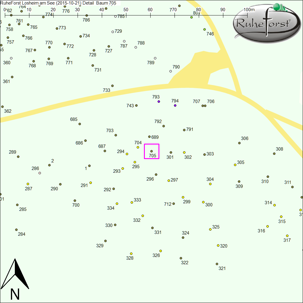 Detailkarte zu Baum 705