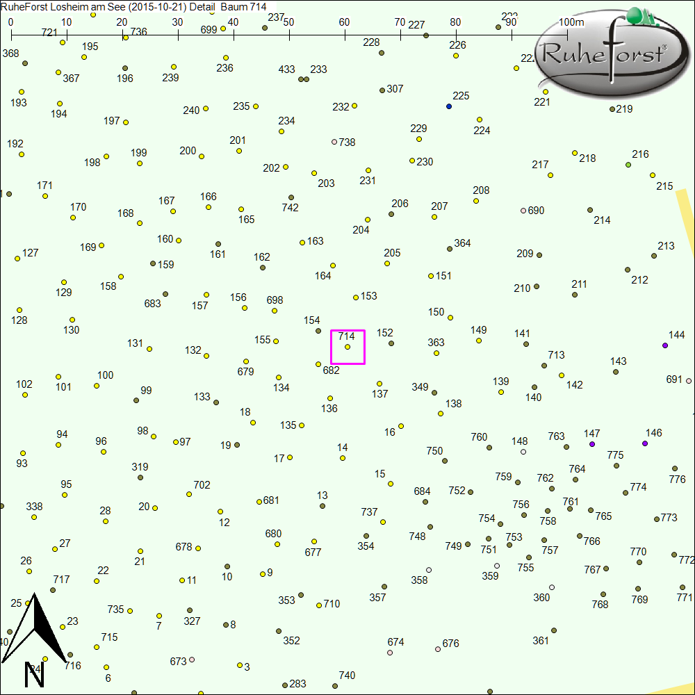 Detailkarte zu Baum 714