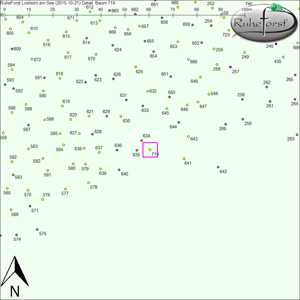 Detailkarte zu Baum 719
