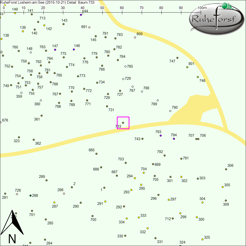Detailkarte zu Baum 733