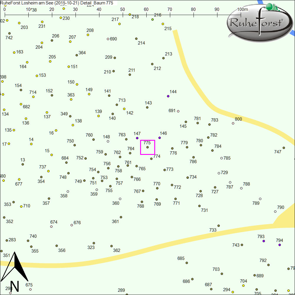 Detailkarte zu Baum 775