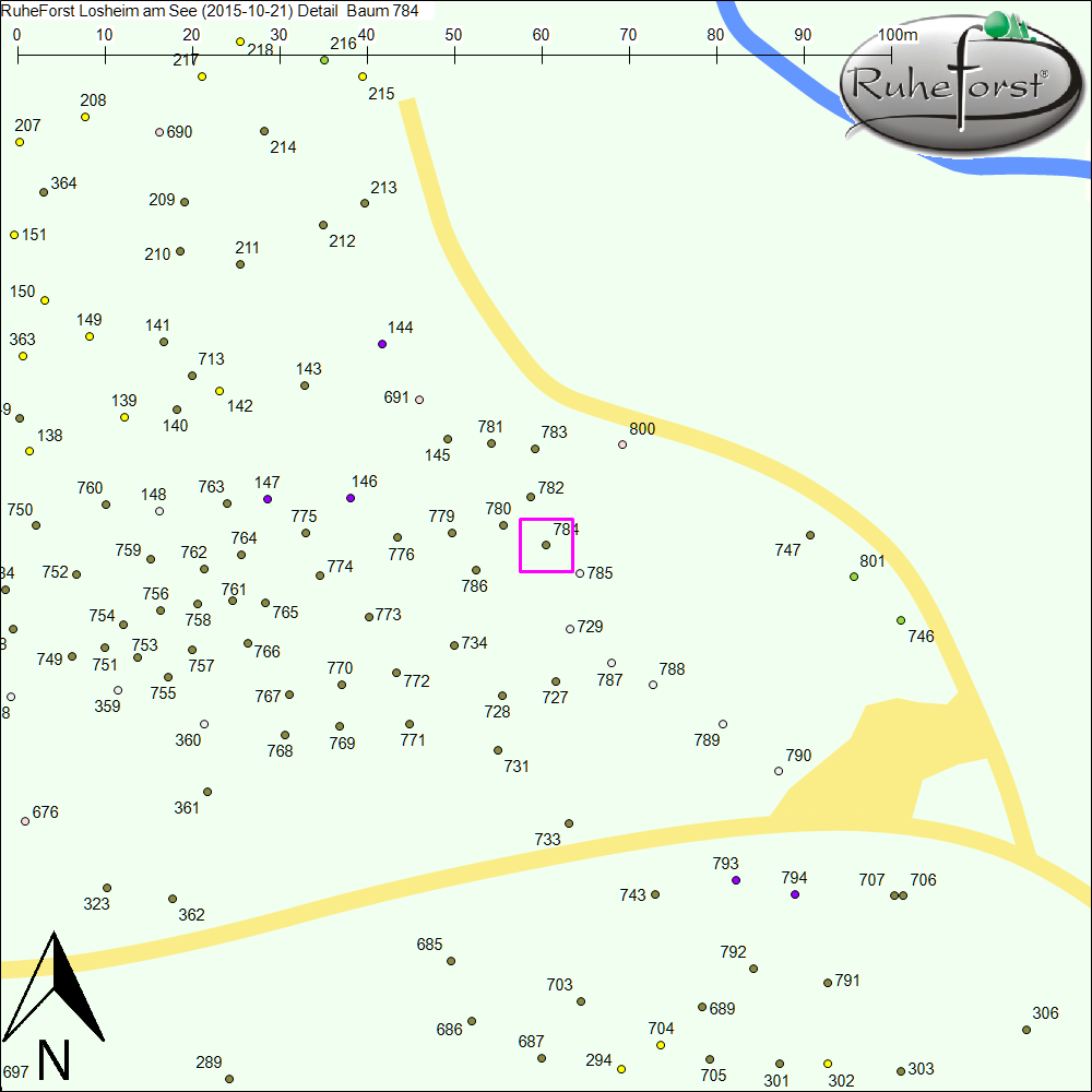 Detailkarte zu Baum 784