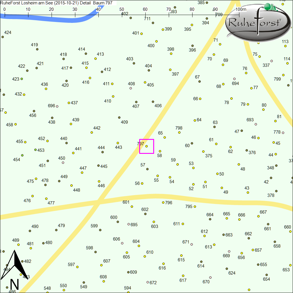 Detailkarte zu Baum 797